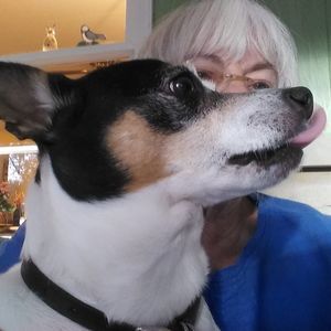 Meet your Posher, Carol